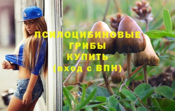 молекула духа Алексеевка