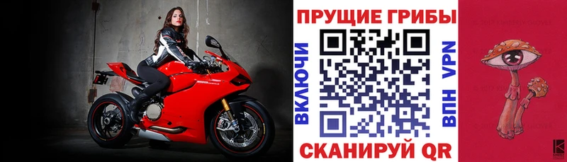 Псилоцибиновые грибы мухоморы  mega ссылки  Анадырь  где продают наркотики 